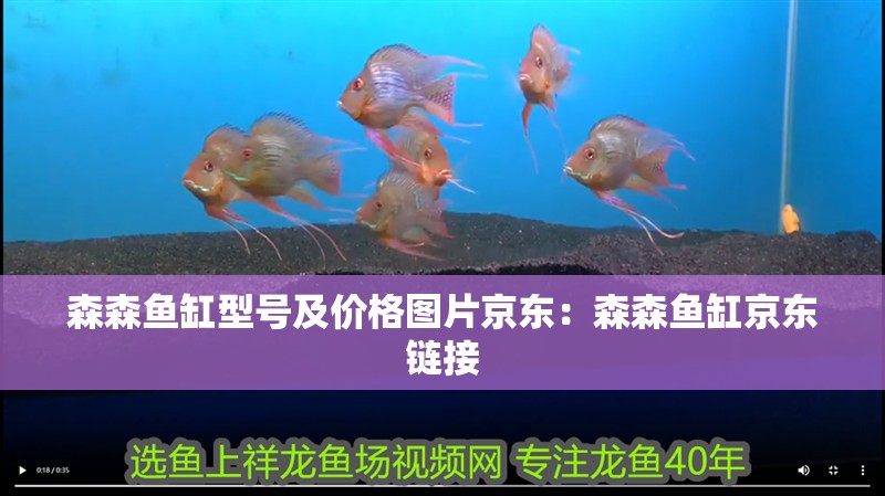 森森魚缸型號及價格圖片京東：森森魚缸京東鏈接
