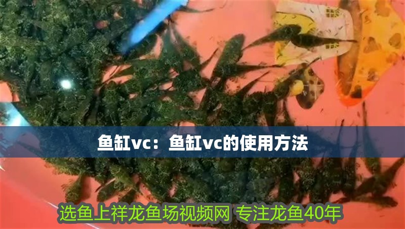 魚缸vc：魚缸vc的使用方法 魚缸vc：魚缸vc的使用方法 魚缸百科