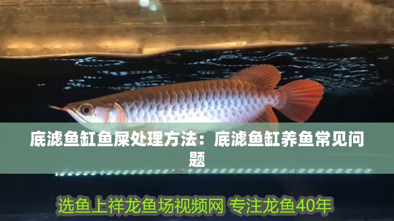 底濾魚缸魚屎處理方法：底濾魚缸養魚常見問題