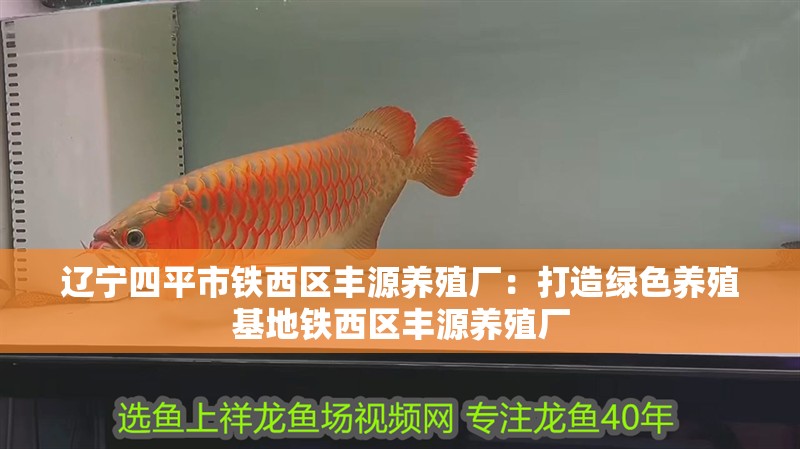 遼寧四平市鐵西區(qū)豐源養(yǎng)殖廠：打造綠色養(yǎng)殖基地鐵西區(qū)豐源養(yǎng)殖廠