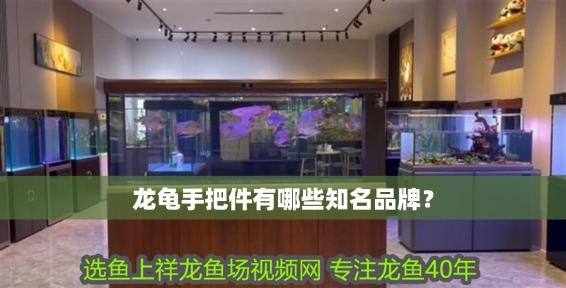 龍龜手把件有哪些知名品牌？
