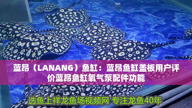 藍(lán)昂（LANANG）魚缸：藍(lán)昂魚缸蓋板用戶評價藍(lán)昂魚缸氧氣泵配件功能