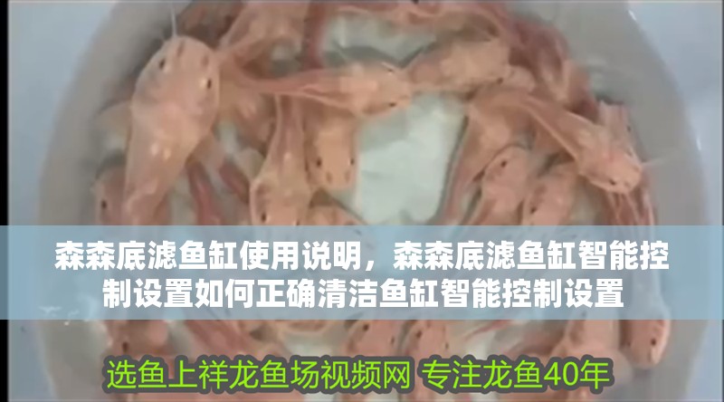 魚缸過濾器選購指南:自制魚缸過濾器魚缸上置過濾器對于養魚愛好者的必備知識 森森底濾魚缸使用說明,森森底濾魚缸智能控制設置如何正確清潔魚缸智能控制設置 魚缸百科 森森底濾魚缸使用說明,森森底濾魚缸智能控制設置如何正確清潔魚缸智能控制設置 森森底濾魚缸使用說明,森森底濾魚缸智能控制設置如何正確清潔魚缸智能控制設置 魚缸百科