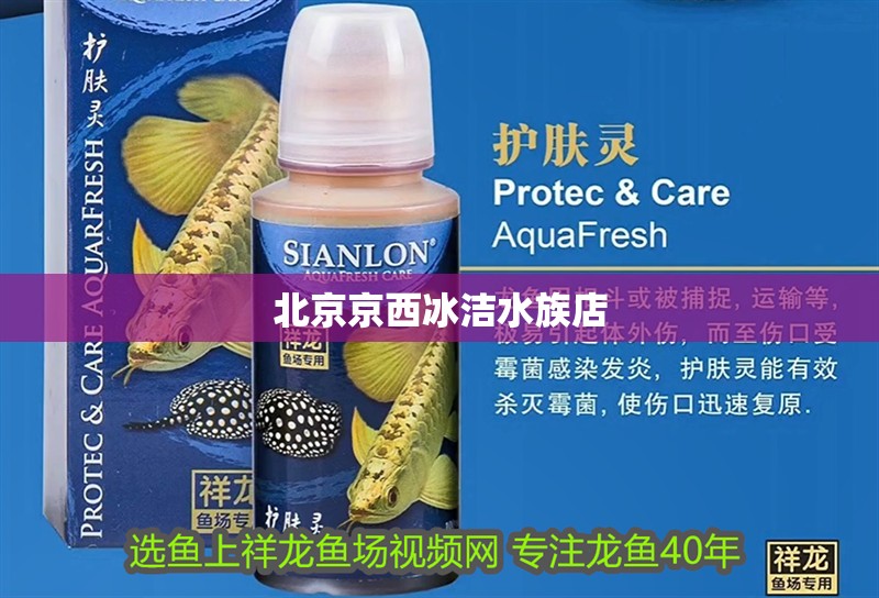 北京京西冰潔水族店