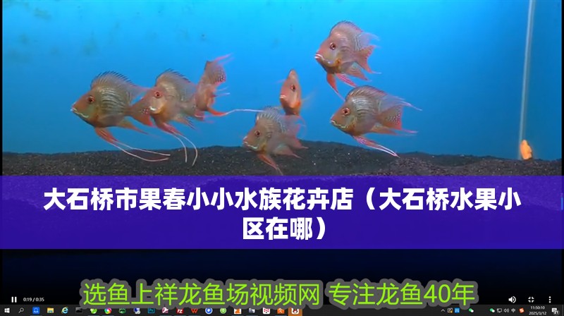 大石橋市果春小小水族花卉店（大石橋水果小區在哪）