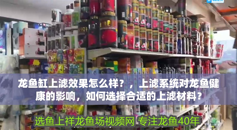 龍魚缸上濾效果怎么樣？，上濾系統(tǒng)對龍魚健康的影響，如何選擇合適的上濾材料？