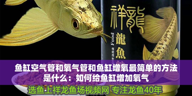 魚缸空氣管和氧氣管和魚缸增氧最簡單的方法是什么：如何給魚缸增加氧氣
