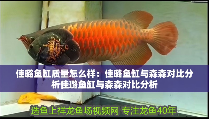 佳璐魚缸質量怎么樣：佳璐魚缸與森森對比分析佳璐魚缸與森森對比分析