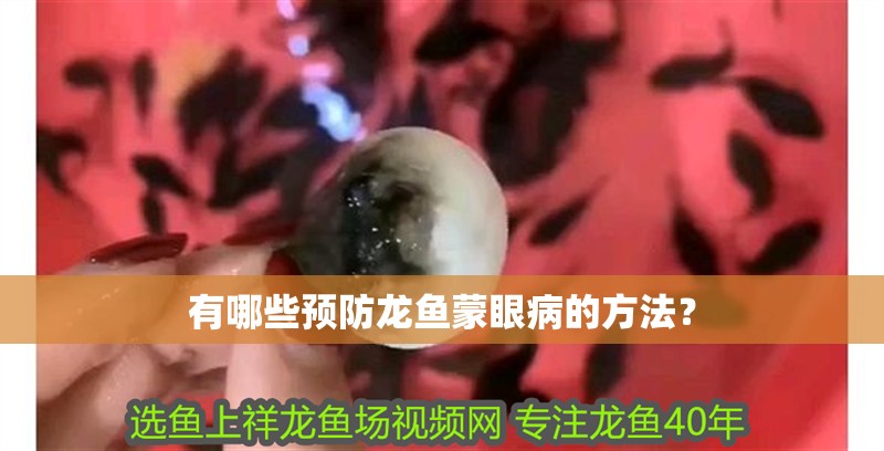 有哪些預防龍魚蒙眼病的方法？