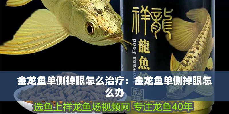 金龍魚單側(cè)掉眼怎么治療：金龍魚單側(cè)掉眼怎么辦