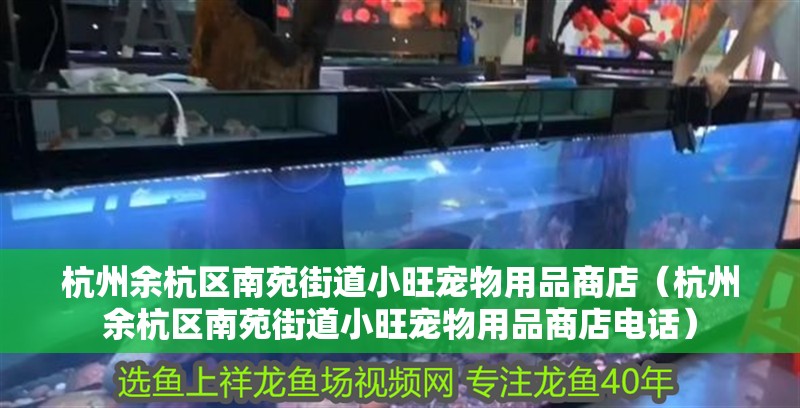 杭州余杭區(qū)南苑街道小旺寵物用品商店（杭州余杭區(qū)南苑街道小旺寵物用品商店電話）