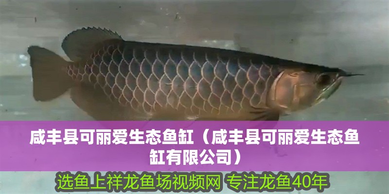 咸豐縣可麗愛生態魚缸（咸豐縣可麗愛生態魚缸有限公司）