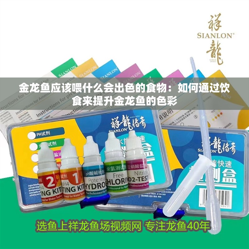 金龍魚應該喂什么會出色的食物：如何通過飲食來提升金龍魚的色彩