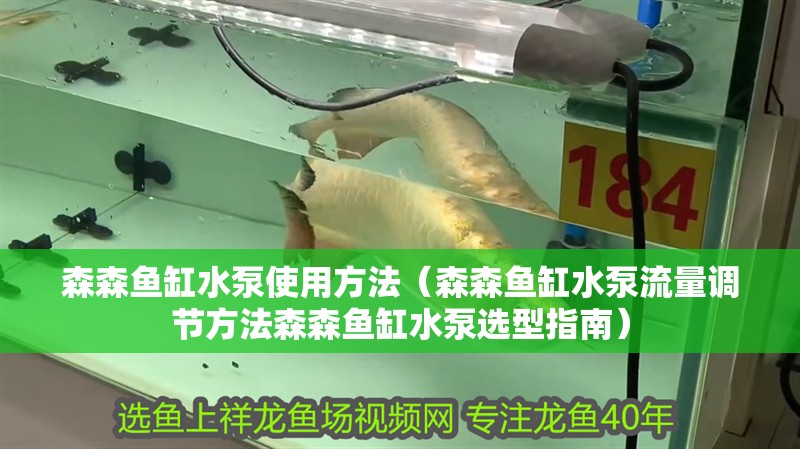 森森魚缸水泵使用方法（森森魚缸水泵流量調節方法森森魚缸水泵選型指南） 森森魚缸水泵使用方法（森森魚缸水泵流量調節方法森森魚缸水泵選型指南） 魚缸百科