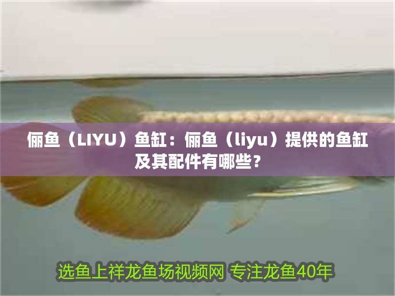 儷魚（LIYU）魚缸：儷魚（liyu）提供的魚缸及其配件有哪些？