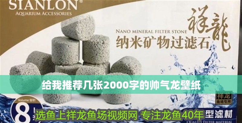 給我推薦幾張2000字的帥氣龍壁紙
