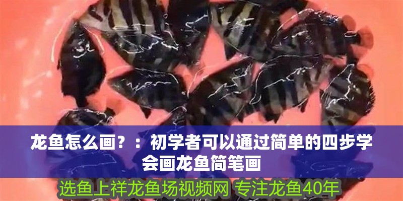 龍魚怎么畫？：初學(xué)者可以通過簡(jiǎn)單的四步學(xué)會(huì)畫龍魚簡(jiǎn)筆畫 龍魚怎么畫？：初學(xué)者可以通過簡(jiǎn)單的四步學(xué)會(huì)畫龍魚簡(jiǎn)筆畫 龍魚百科