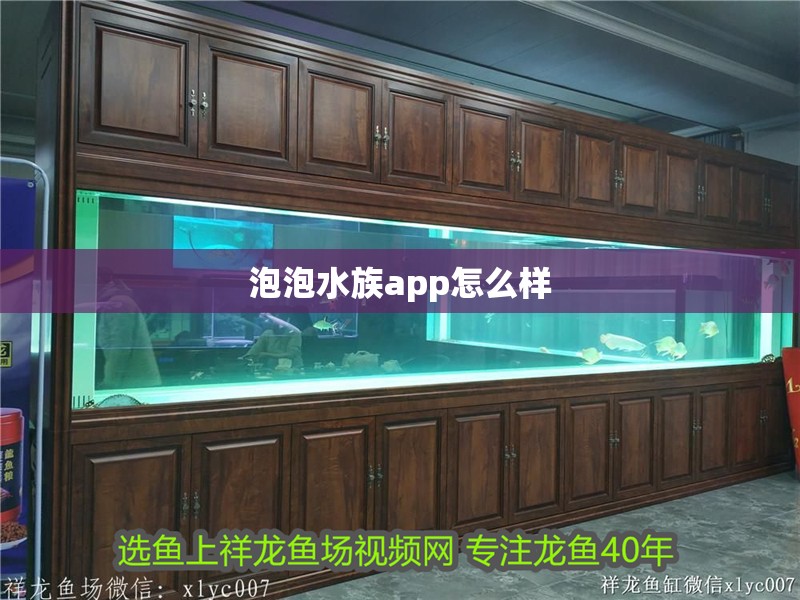 泡泡水族app怎么樣