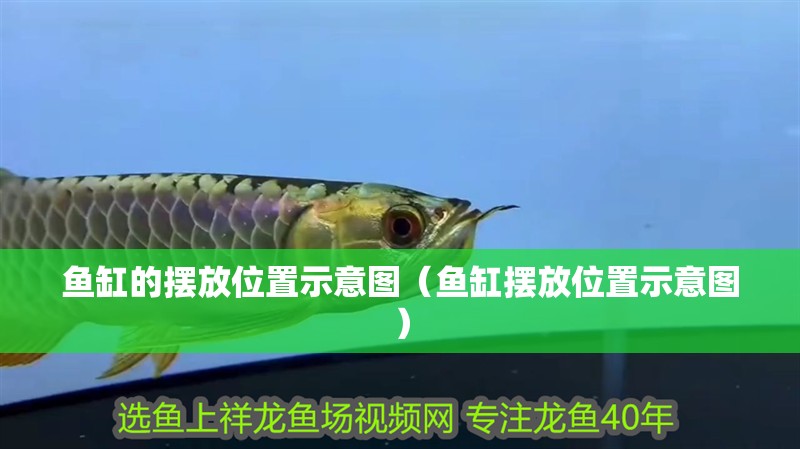 魚缸的擺放位置示意圖（魚缸擺放位置示意圖）