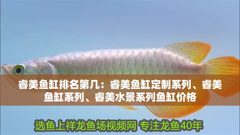睿美魚缸排名第幾：睿美魚缸定制系列、睿美魚缸系列、睿美水景系列魚缸價格