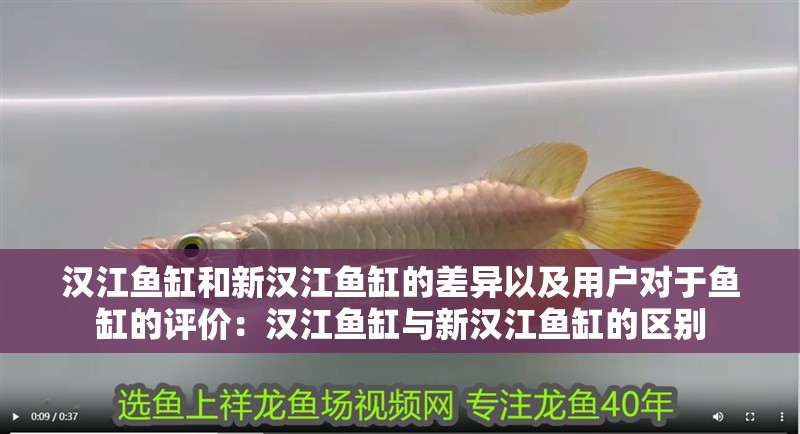 漢江魚缸和新漢江魚缸的差異以及用戶對(duì)于魚缸的評(píng)價(jià)：漢江魚缸與新漢江魚缸的區(qū)別 漢江魚缸和新漢江魚缸的差異以及用戶對(duì)于魚缸的評(píng)價(jià)：漢江魚缸與新漢江魚缸的區(qū)別 魚缸百科