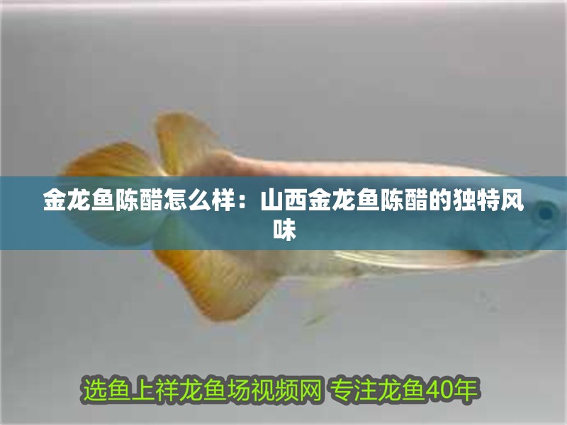 金龍魚陳醋怎么樣：山西金龍魚陳醋的獨特風味 金龍魚陳醋怎么樣：山西金龍魚陳醋的獨特風味 龍魚百科