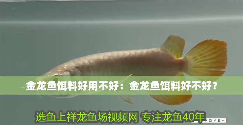 金龍魚餌料好用不好：金龍魚餌料好不好？