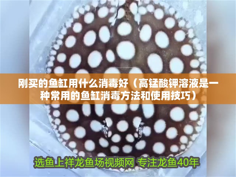 剛買的魚(yú)缸用什么消毒好（高錳酸鉀溶液是一種常用的魚(yú)缸消毒方法和使用技巧）