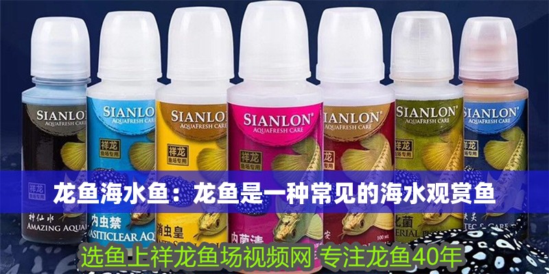龍魚海水魚：龍魚是一種常見的海水觀賞魚