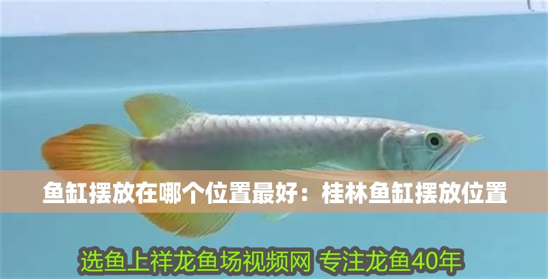 魚缸擺放在哪個位置最好：<strong><mark>桂林</mark></strong>魚缸擺放位置