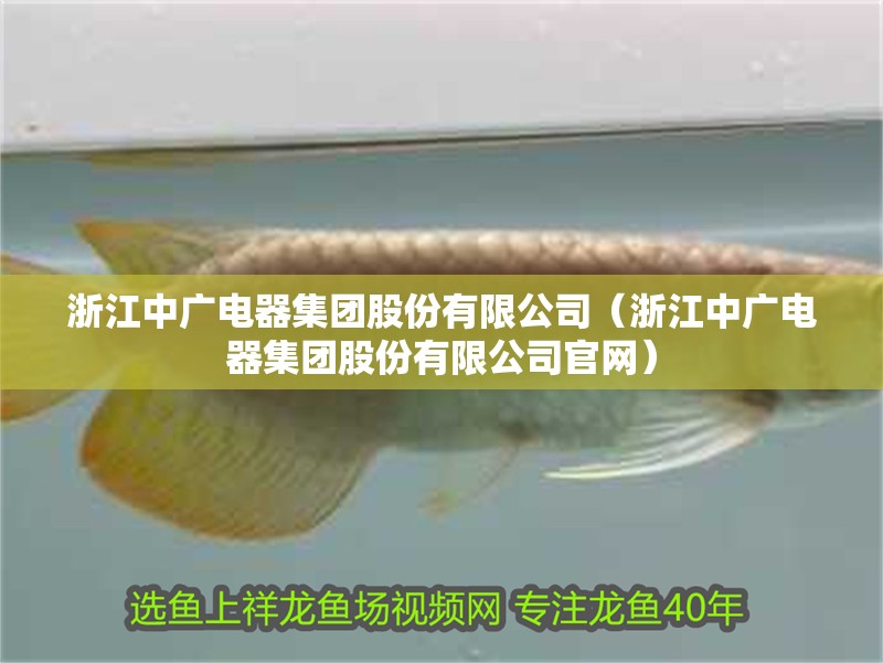 浙江中廣電器集團股份有限公司（浙江中廣電器集團股份有限公司官網）