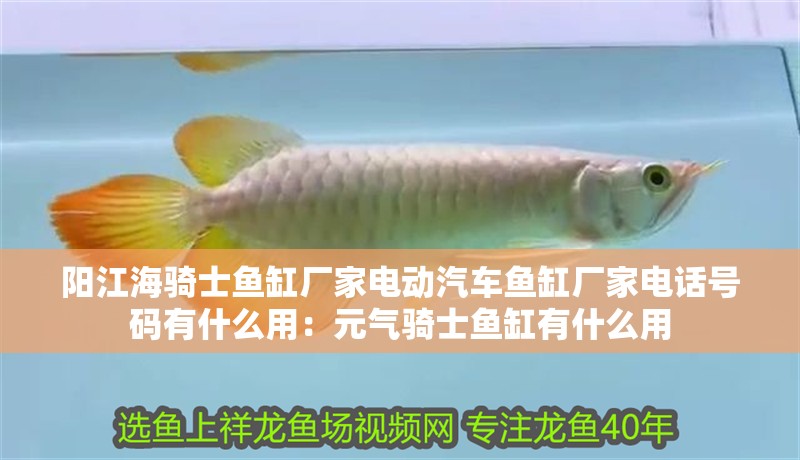 陽江海騎士魚缸廠家電動汽車魚缸廠家電話號碼有什么用：元氣騎士魚缸有什么用