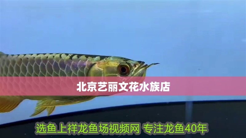 <strong><mark>北京</mark></strong>藝麗文花水族店