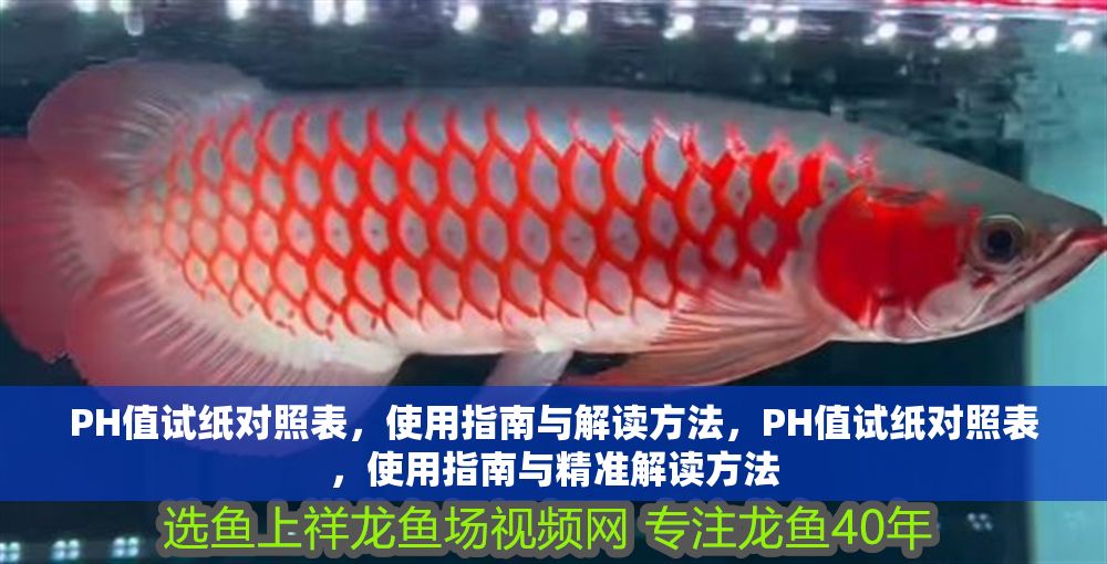 PH值試紙對照表，使用指南與解讀方法，PH值試紙對照表，使用指南與精準(zhǔn)解讀方法