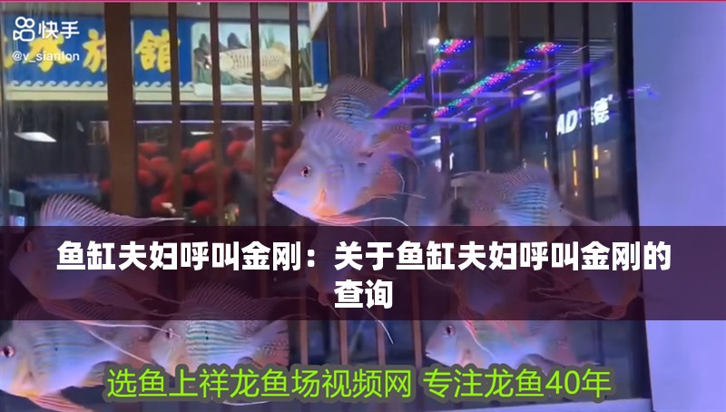 魚缸夫婦呼叫金剛：關于魚缸夫婦呼叫金剛的查詢