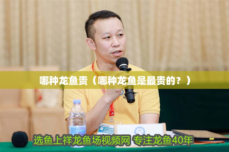哪種龍魚貴（哪種龍魚是最貴的？）