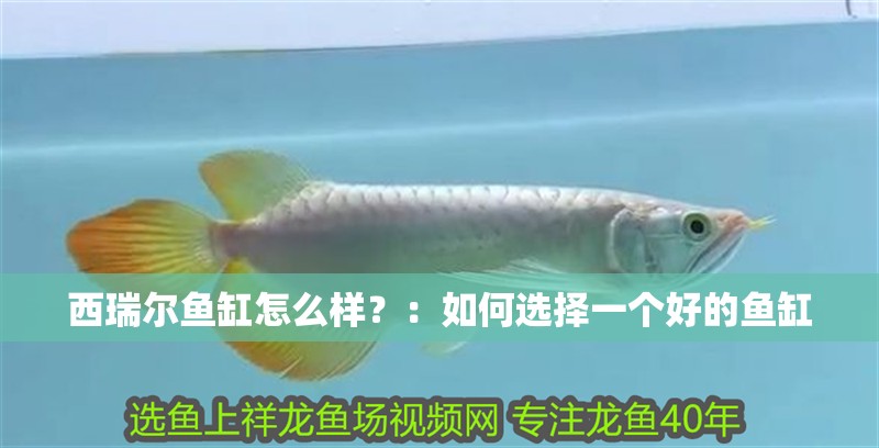 西瑞爾魚缸怎么樣？：如何選擇一個好的魚缸 西瑞爾魚缸怎么樣？：如何選擇一個好的魚缸 魚缸百科