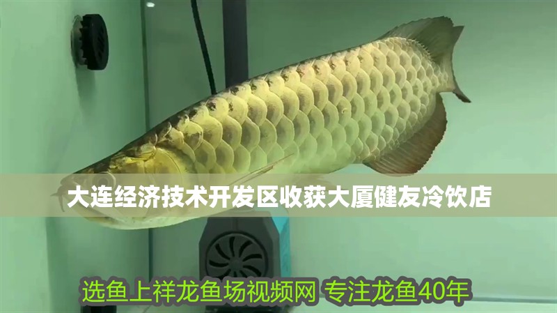 大連經(jīng)濟(jì)技術(shù)開發(fā)區(qū)收獲大廈健友冷飲店