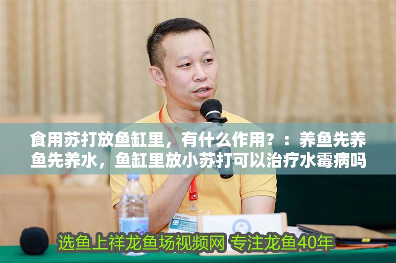 食用蘇打放魚缸里，有什么作用？：養魚先養魚先養水，魚缸里放小蘇打可以治療水霉病嗎 食用蘇打放魚缸里，有什么作用？：養魚先養魚先養水，魚缸里放小蘇打可以治療水霉病嗎 魚缸百科