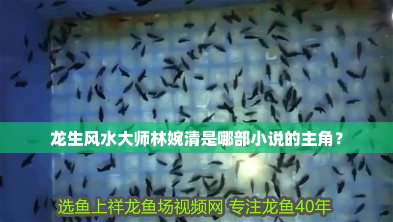 龍生風水大師林婉清是哪部小說的主角？