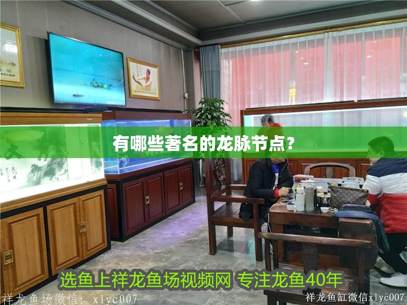 有哪些著名的龍脈節點？ 有哪些著名的龍脈節點？ 龍魚論壇