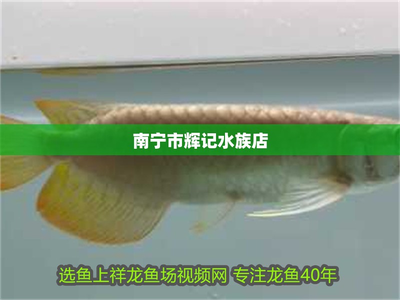 南寧市輝記水族店