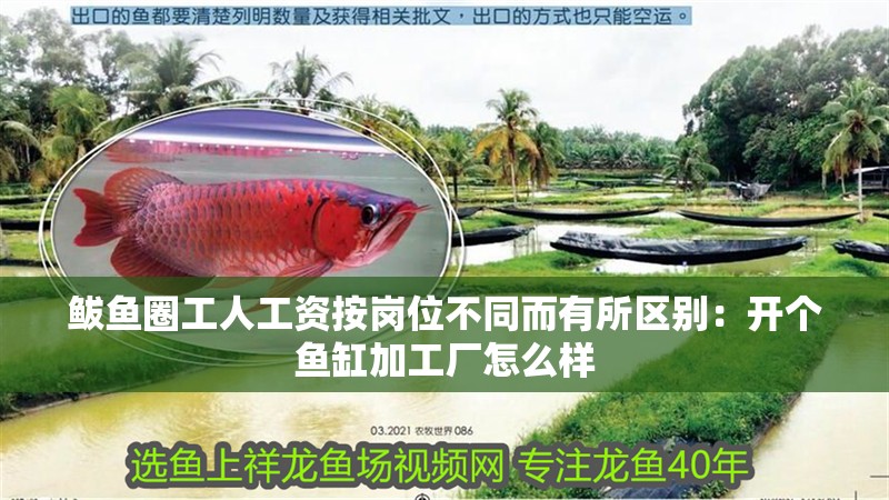 鲅魚圈工人工資按崗位不同而有所區別：開個魚缸加工廠怎么樣