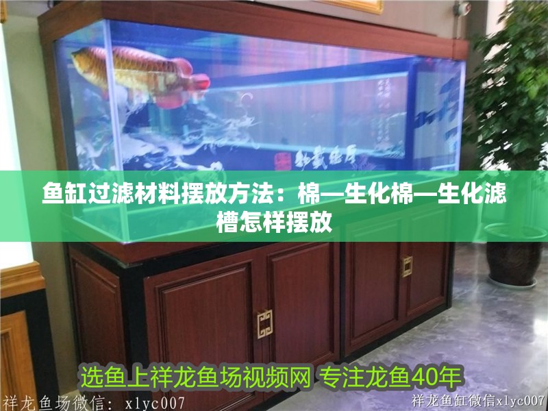 魚缸過濾材料擺放方法：棉—生化棉—生化濾槽怎樣擺放