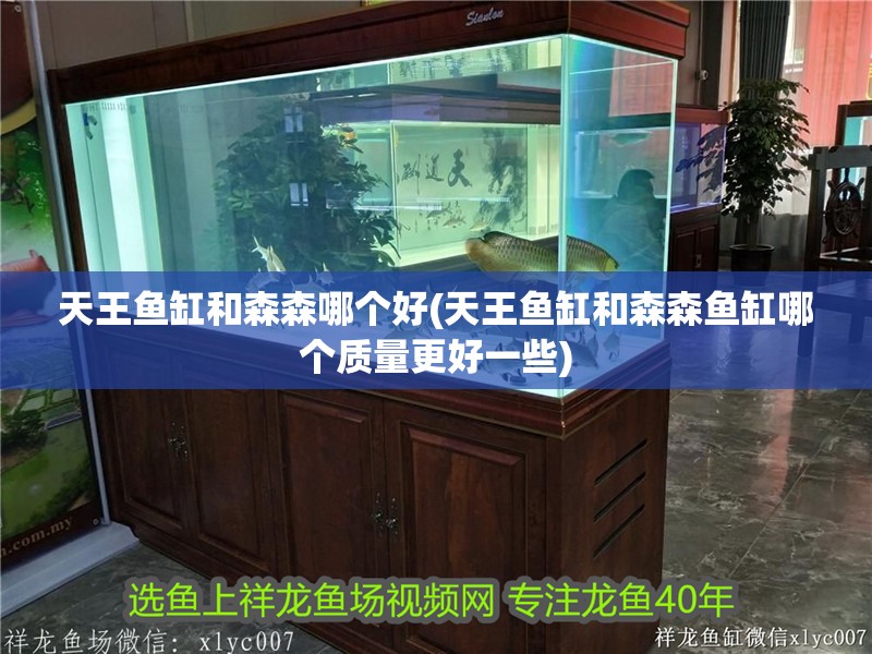 天王魚缸和森森哪個好(天王魚缸和森森魚缸哪個質量更好一些)