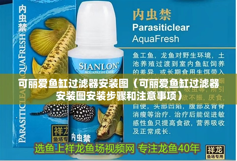 可麗愛魚缸過濾器安裝圖（可麗愛魚缸過濾器安裝圖安裝步驟和注意事項(xiàng)） 可麗愛魚缸過濾器安裝圖（可麗愛魚缸過濾器安裝圖安裝步驟和注意事項(xiàng)） 魚缸百科