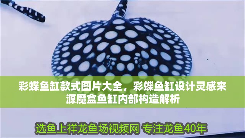 彩蝶魚(yú)缸款式圖片大全，彩蝶魚(yú)缸設(shè)計(jì)靈感來(lái)源魔盒魚(yú)缸內(nèi)部構(gòu)造解析