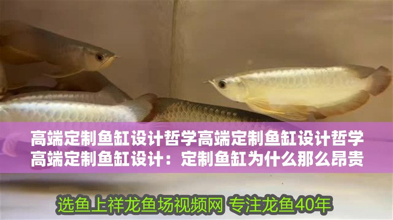 高端定制魚缸設計哲學高端定制魚缸設計哲學高端定制魚缸設計：定制魚缸為什么那么昂貴？