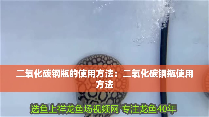 二氧化碳鋼瓶的使用方法：二氧化碳鋼瓶使用方法