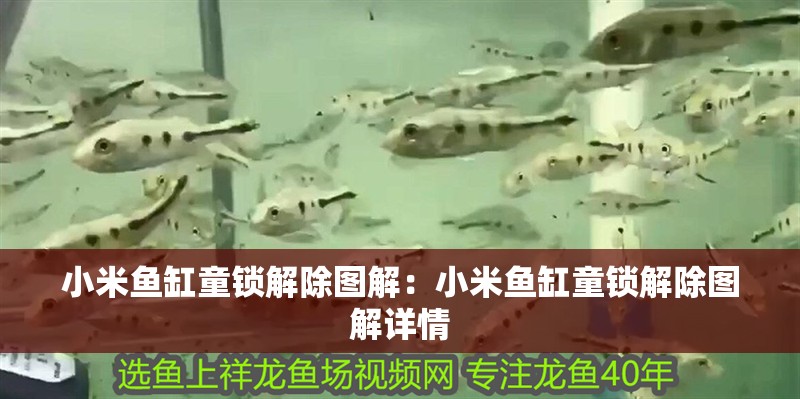 魚缸過濾器選購指南:自制魚缸過濾器魚缸上置過濾器對于養魚愛好者的必備知識 小米魚缸童鎖解除圖解:小米魚缸童鎖解除圖解詳情 魚缸百科 小米魚缸童鎖解除圖解:小米魚缸童鎖解除圖解詳情 小米魚缸童鎖解除圖解:小米魚缸童鎖解除圖解詳情 魚缸百科